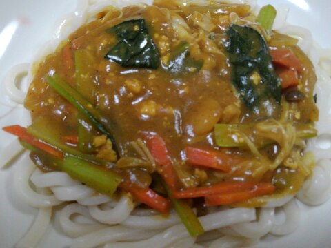 とろ～り美味しい！あんかけカレーうどん